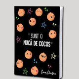 Caiet “Nuca de cocos